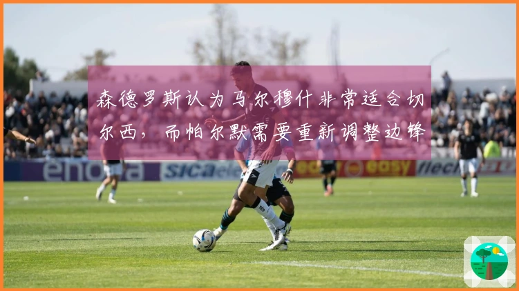 森德罗斯认为马尔穆什非常适合切尔西，而帕尔默需要重新调整边锋的风格。